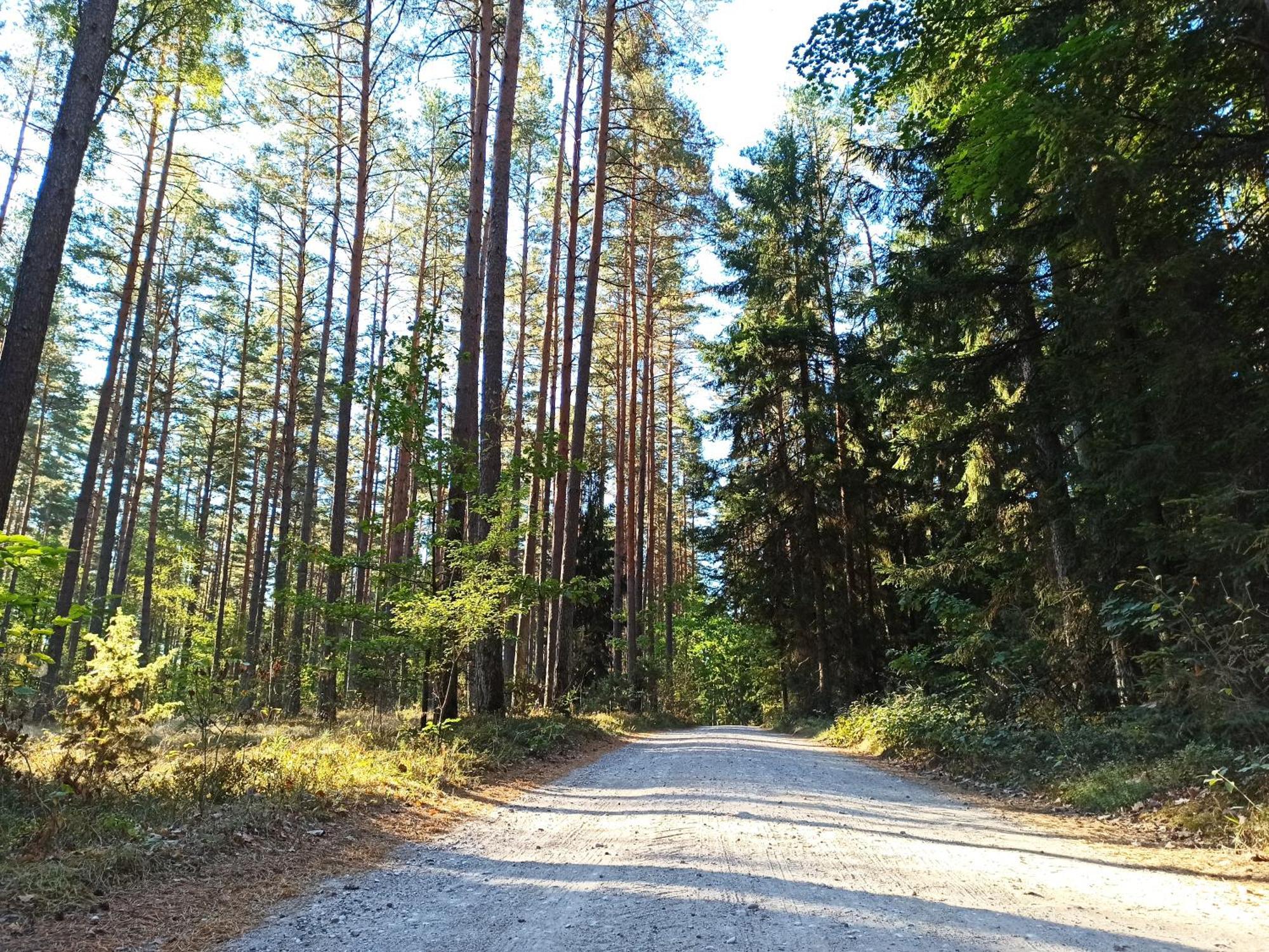 Mazurska Lesniczowka Nowy Zyzdroj Bed & Breakfast Exterior foto